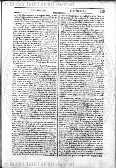 n. 24 (1837) - Pagina: 93