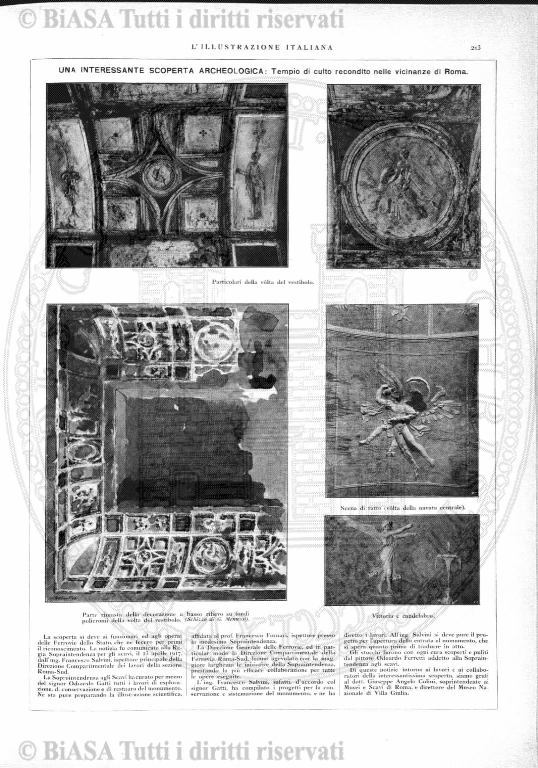 v. 5, n. 31 (1778-1779) - Pagina: 241