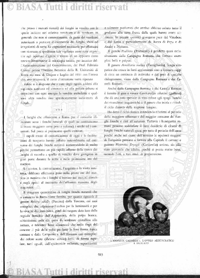 v. 2, n. 20 (1837-1838) - Pagina: 157