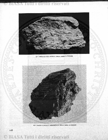 n. 21 (1877) - Frontespizio e sommario