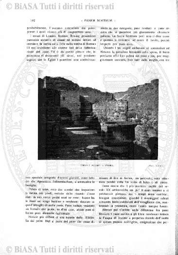 v. 15, n. 44 (1788-1789) - Pagina: 345