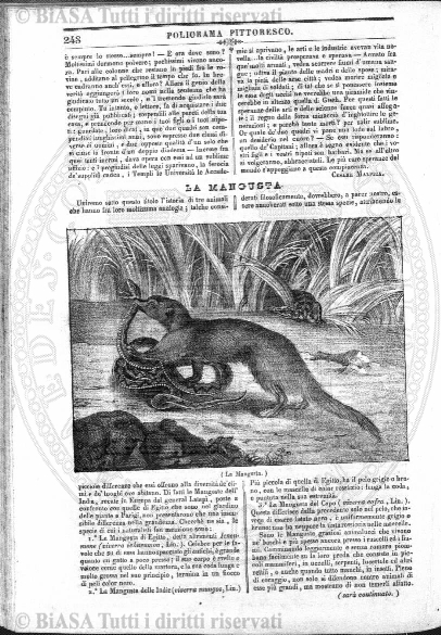 v. 4, n. 17 (1777-1778) - Pagina: 129