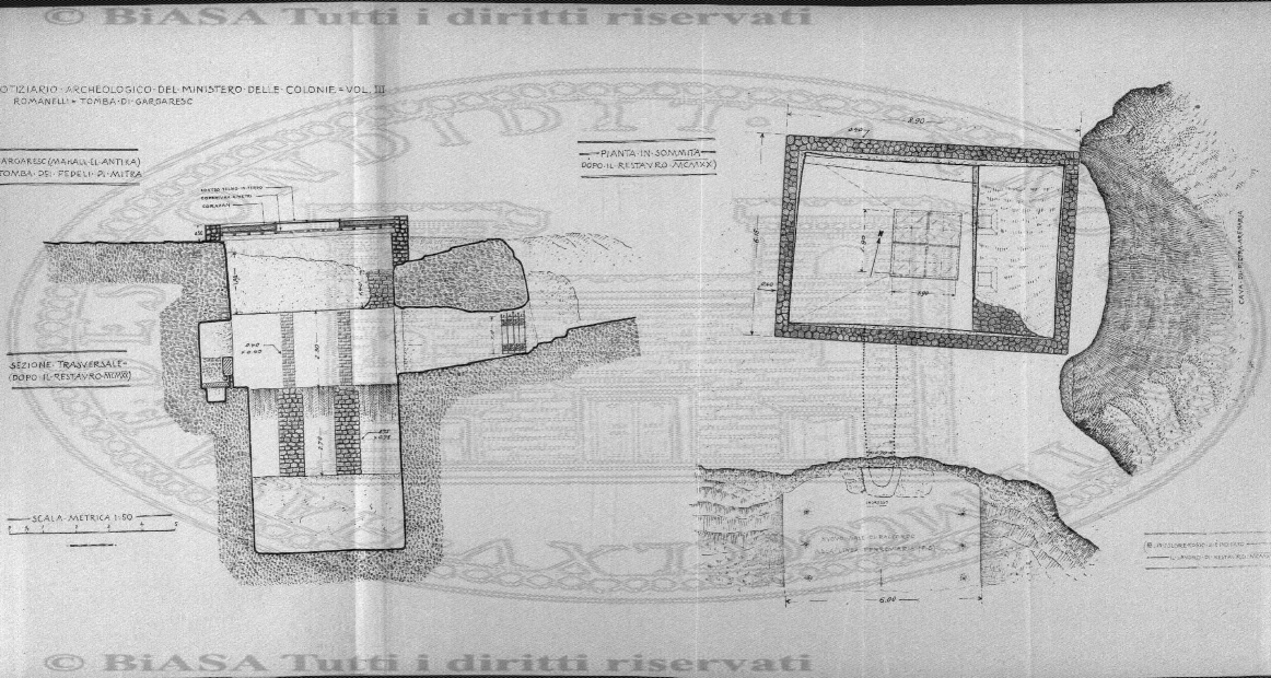 v. 11, n. 51 (1784-1785) - Pagina: 409
