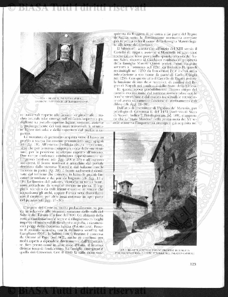 v. 5, n. 43 (1778-1779) - Pagina: 337