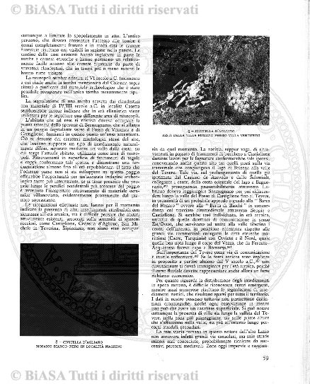 v. 8, n. 34 (1781-1782) - Pagina: 265