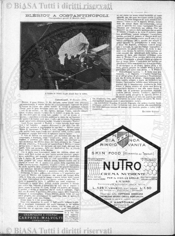 n. 7 (1931) - Pagina: 241