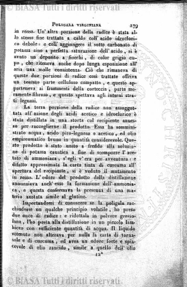 v. 4, n. 5 (1880-1881) - Pagina: 193