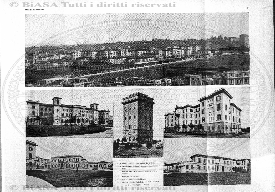 v. 5, n. 34 (1838-1839) - Pagina: 265