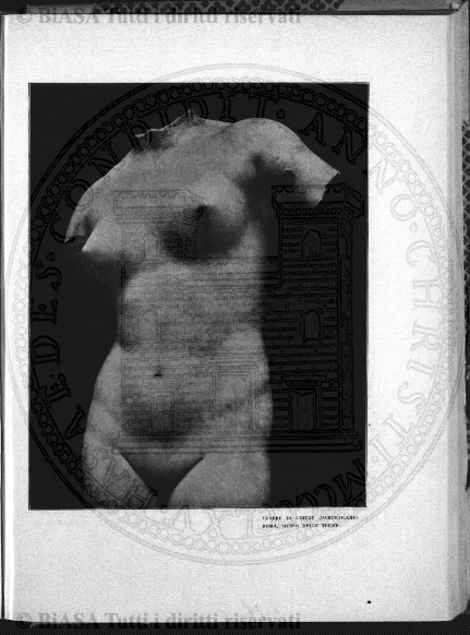 v. 4, n. 8 (1875) - Pagina: 225