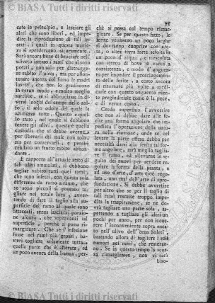n. 6 (1903) - Copertina: 1 e sommario