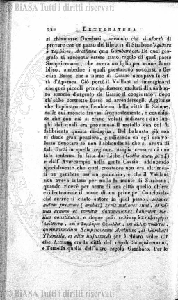 n. 9 (1882) - Frontespizio