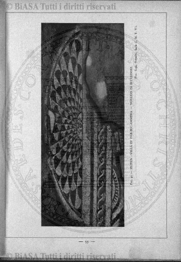 v. 3, n. 30 (1838-1839) - Pagina: 233