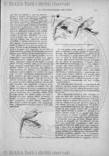 v. 18, n. 5 (1791-1792) - Pagina: 33