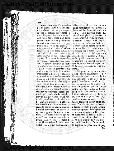 v. 6, n. 33 (1910) - Tavola fuori testo