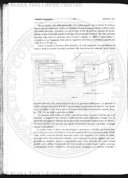 s. 2, n. 10 (1888-1889) - Pagina: 1