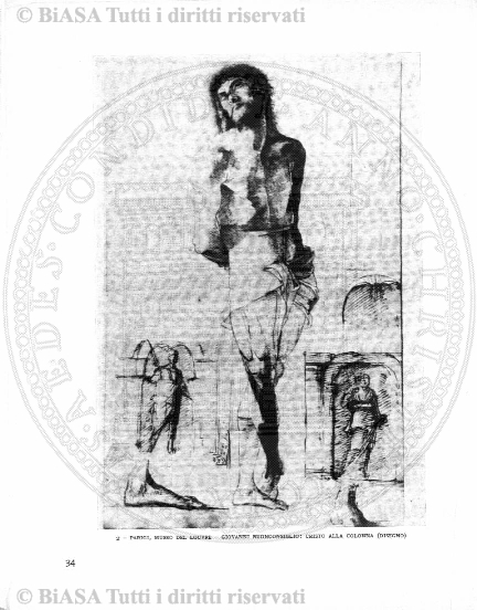 v. 2, n. 7 (1925-1926) - Frontespizio