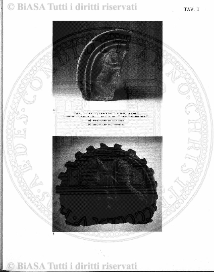 s. 2, n. 25 (1889-1890) - Pagina: 565