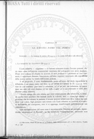 n. 5 (1904) - Copertina: 1