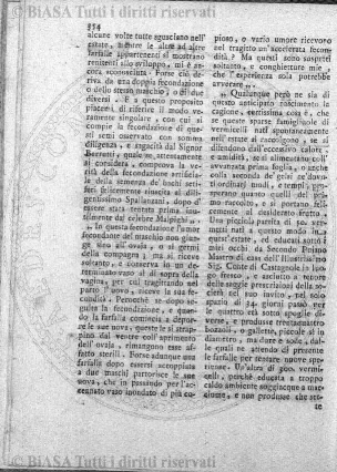 n. 3-4 (1879) - Pagina: 33