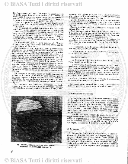 v. 22, n. 47 (1855-1856) - Pagina: 369