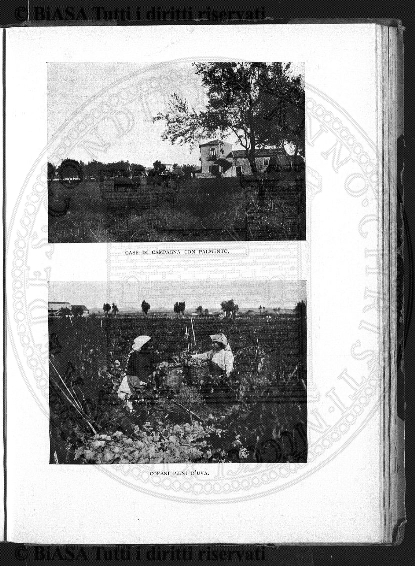n. 10 (1905) - Pagina: 77