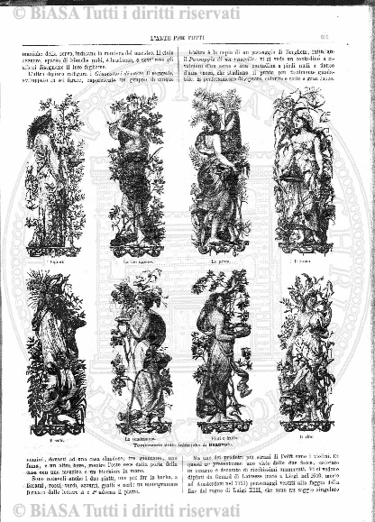 v. 19, n. 2 (1908-1910) - Copertina: 1