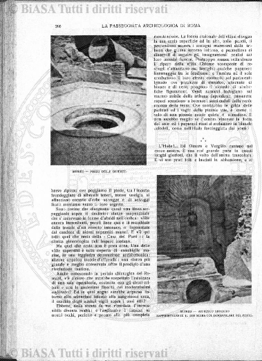 v. 12, n. 29 (1785-1786) - Pagina: 225