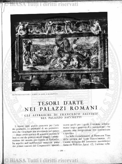 v. 19, n. 28 (1792-1793) - Pagina: 217