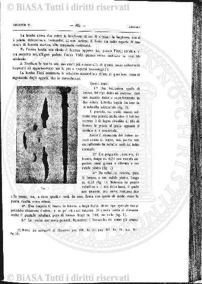 s. 2, n. 48 (1888-1889) - Pagina: 1