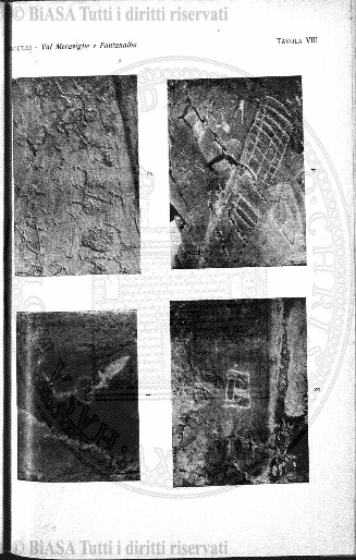 v. 11, n. 63 (1900) - Copertina: 1