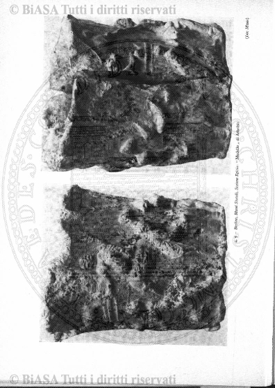 n.s., n. 78 (1855-1856) - Pagina: 25