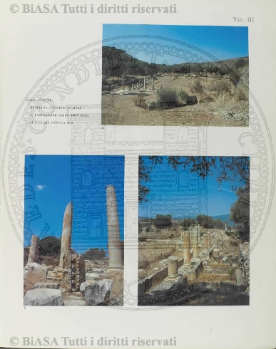 v. 3, n. 11 (1838-1839) - Pagina: 85