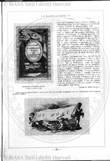v. 8, n. 48 (1781-1782) - Pagina: 377