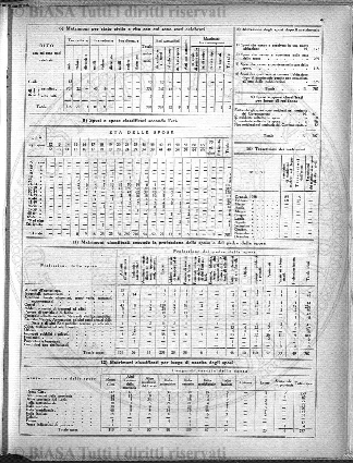 v. 10, n. 5 (1783-1784) - Pagina: 33