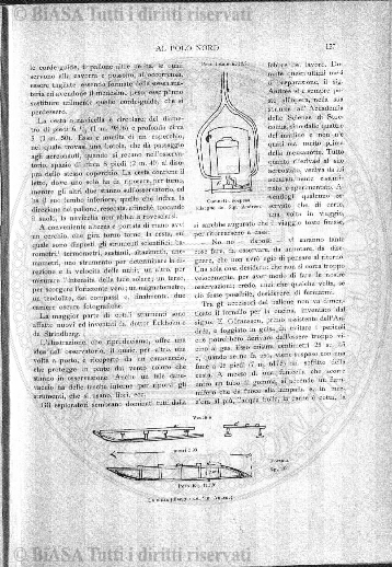 s. 5, v. 11, n. 1-2 (1902) - Copertina: 1