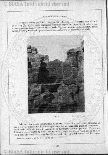 v. 2, n. 30 (1775-1776) - Pagina: 233